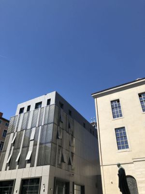 IMG0799